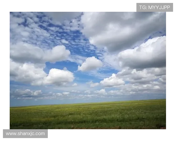 非洲雄狮崛起:揭示大草原背后的王者崛起与生态变革 - 副本 (3) - 副本 - 副本 非洲雄狮崛起:揭示大草原背后的王者崛起与生态变革 - 副本 (3) - 副本 - 副本